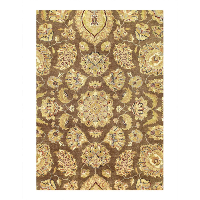 Oriental Area Rug in Brown