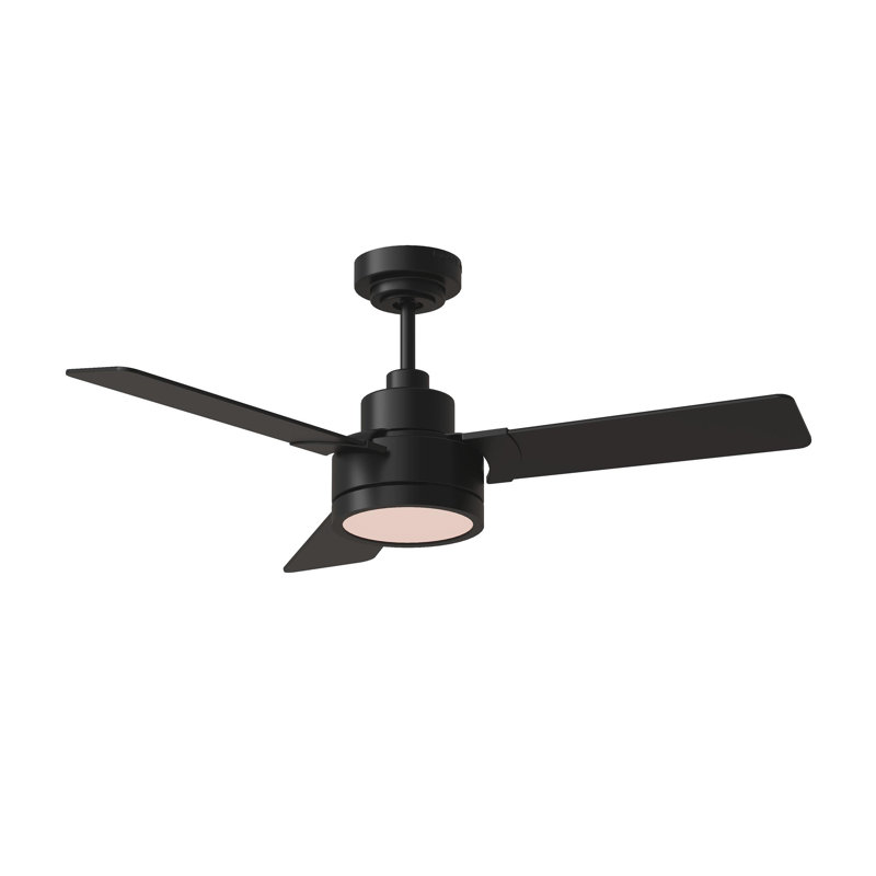 Ebie 44'' Ceiling Fan with LED Lights, Midnight Black