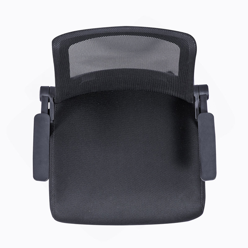 Chaise de bureau avec structure en plastique, plastique, pivotant, support lombaire, hauteur réglable, roulettes