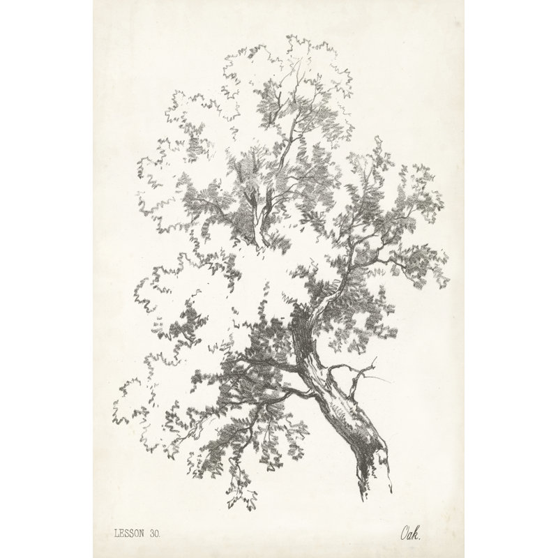 Oak Tree Study - Wrapped Canvas Painting, 76cm H x 51cm W x 3.8cm D
