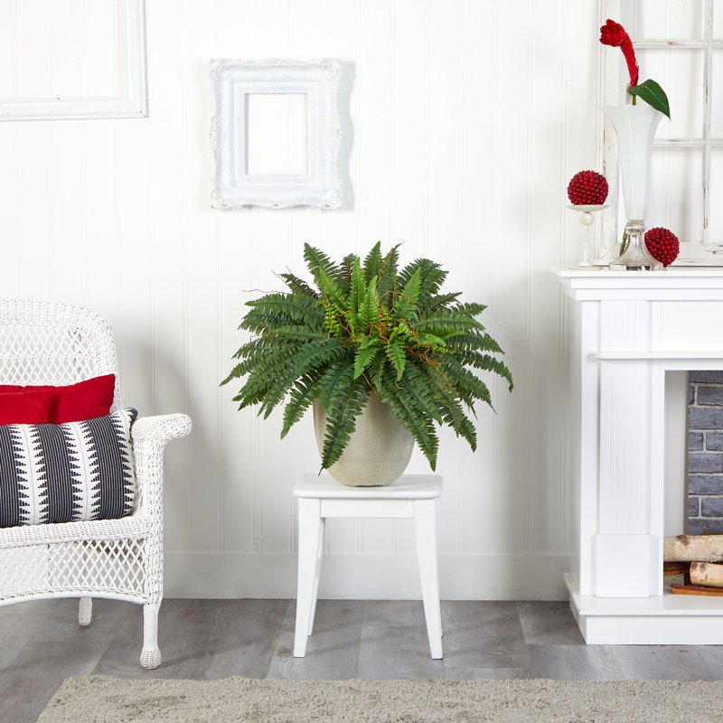 Artificial Fern Plant in Pot, 22" H x 30" W