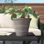 Griffith Handmade Clay Pot Planter