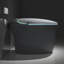 Grey Bathroom Smart Toilet, Auto Seat Actions, Foot Sensor, Heated Function Toilet With User- Features, Open/Close Seat,-121676132