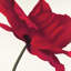 « papaver i », impression sur toile-29483334-73651471-73651466