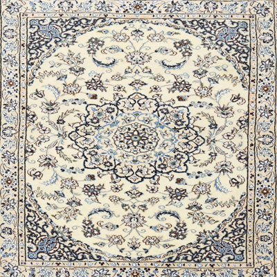Oriental Indoor Rug