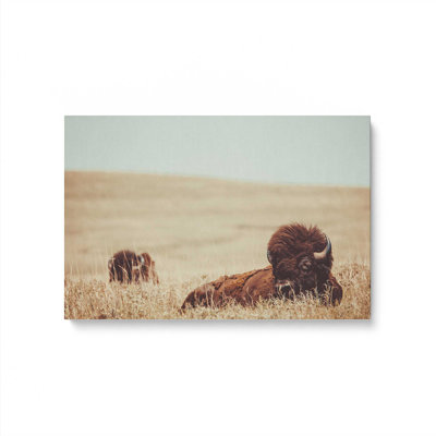 Prairie Giants Resting, reproduction sur toile