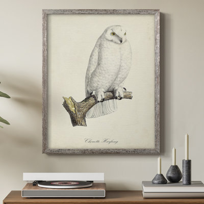 «French Owls IV», reproduction encadrée - bois massif