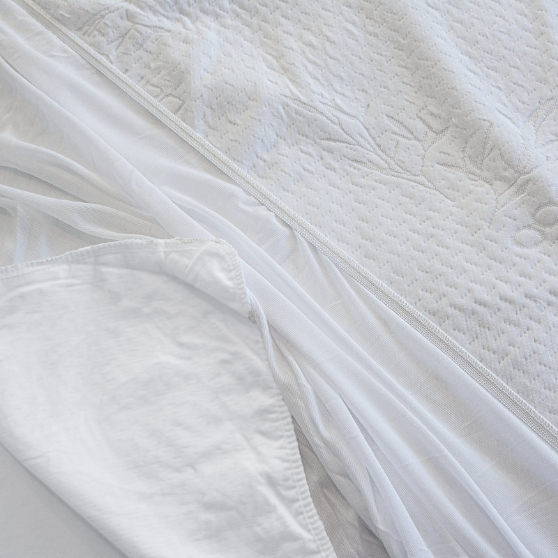 Fitted Mattress Protector Mattress Protector Case Pack, Twin
