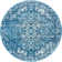 Oriental Indoor Rug