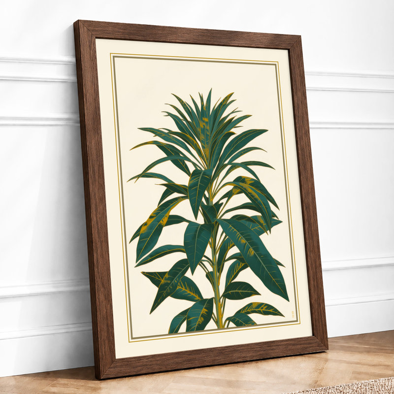 Study Botanical - Print, Walnut, A4 - 29.7 x 21.0 cm