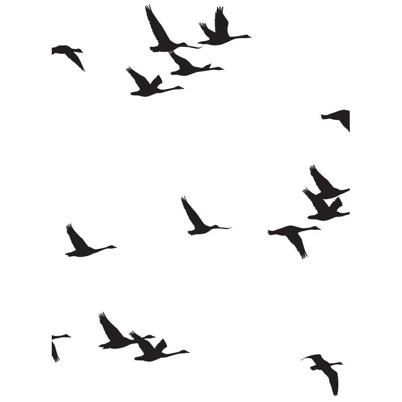 Papier peint adhésif Soaring Birds, Noir, L 108 po x l 96 po