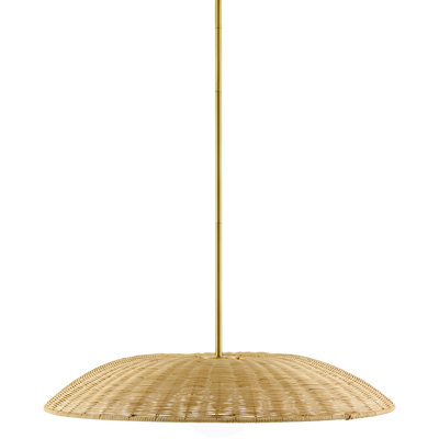 Single Light Pendant