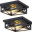 Lot de 2 plafonniers carrés noirs mats à 2 lumières, style industriel, structure métallique ajourée, à fixer au plafond. Luminaire rustique de style ferme pour couloir ou entrée.