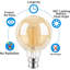 1-Pack 6W Globe Shaped LED Light Bulb