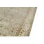 Chantel Oriental Area Rug