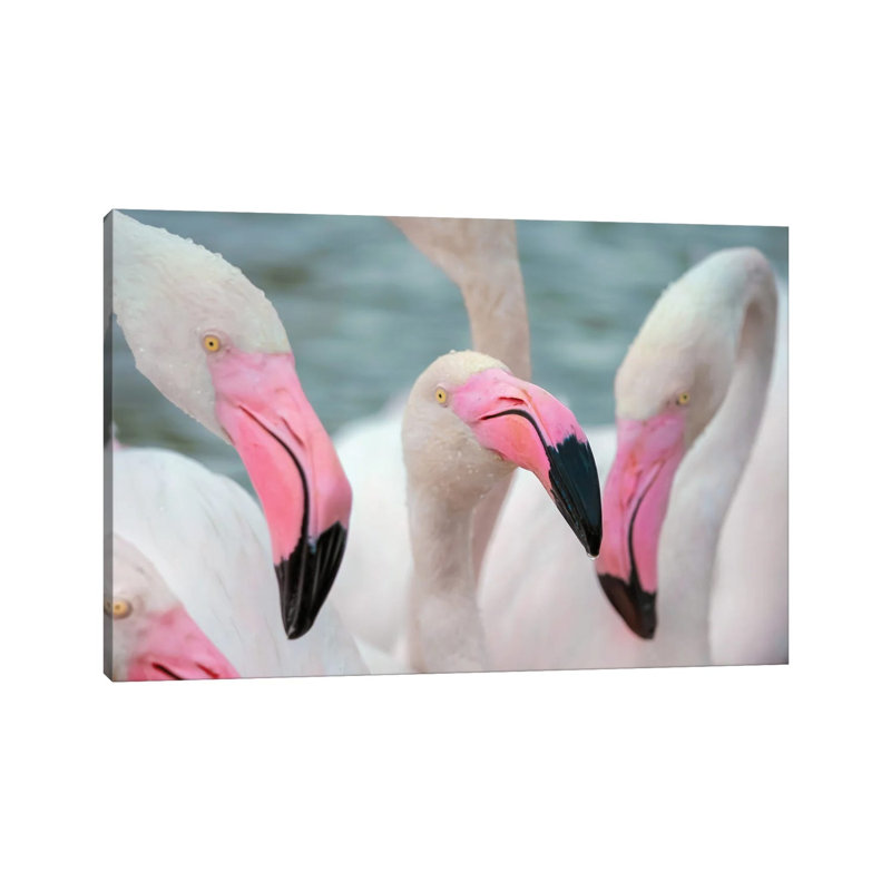 Flamingos IV by Ben Heine - Wrapped Canvas Print, 66.04 cm H x 45.72 cm W x 1.91 cm D
