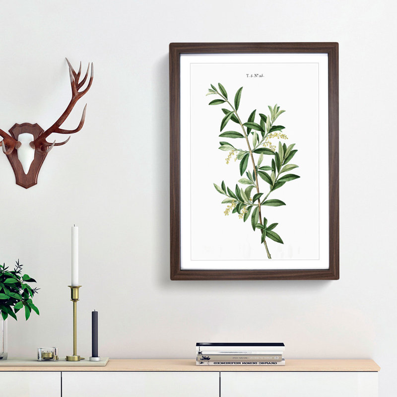 Green Olive Tree by Pierre-Joseph Redoute - Framed Print, 48cm H x 36cm W x 2cm D, Walnut Framed