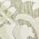 Nourison Aloha Ivory Sage Farmhouse Rug