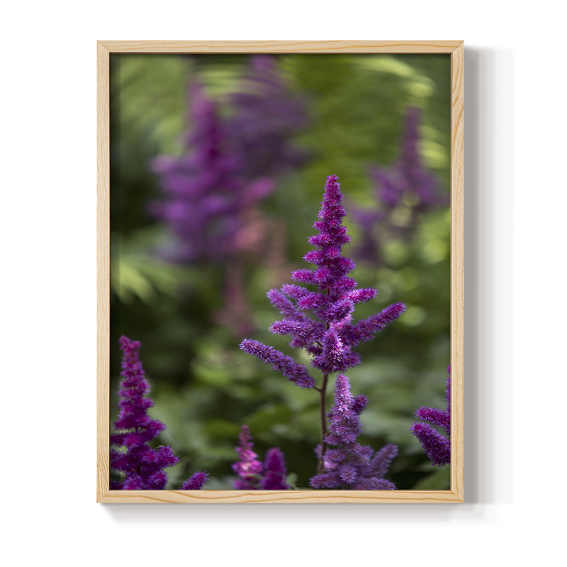 Pink Peaks, reproduction d'art encadrée - bois massif, H 30 po x l 24 po