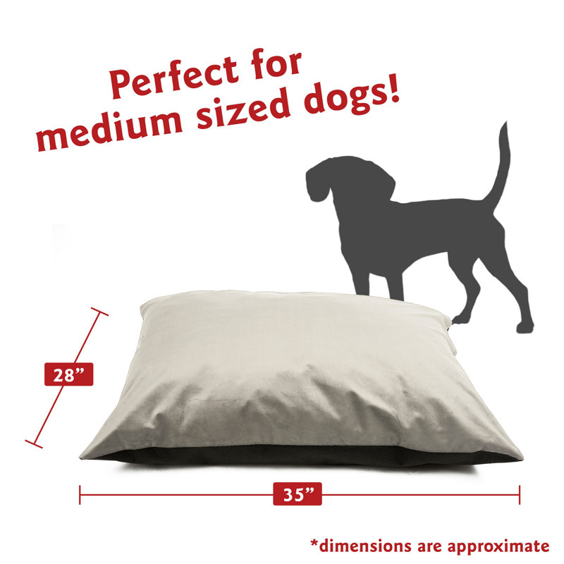 Coussin pour chien Villa Majestic, Medium (35" W x 28" D x 7" H, Beige