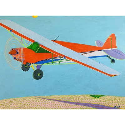 In The Air Print by Sue Graef