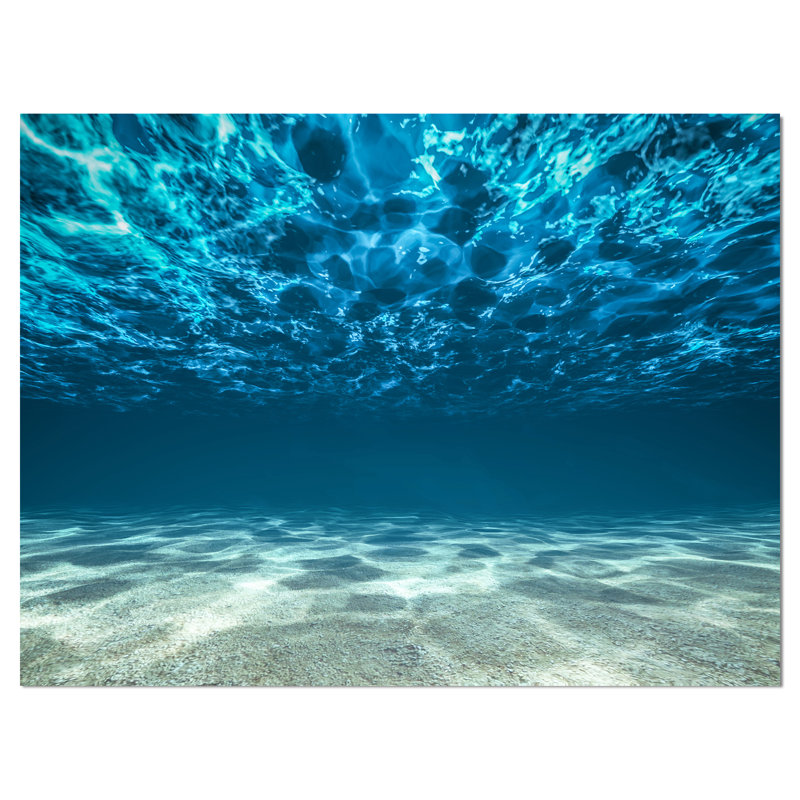 «Ocean Bottom Beneath the Surface», reproduction d'art mural sur toile, H 30 po x l 40 po, Toile tendue, Sans cadre