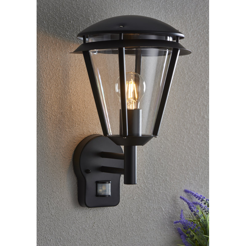 Nellie 38cm H Outdoor Wall Lantern, Matte Black