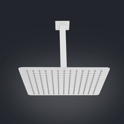Pomme de douche à pluie fixe 1,8 GPM GPM avec autonettoyant