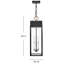 Hinkley Campbell Large Hanging Lantern