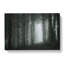 Twilight Forest in Abstract - Wrapped Canvas-55303349