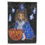 Drapeau de maison Hvidovre Sheltie Halloween en polyester à 2 faces 3 x 2 pi-81031395