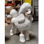 Statue de caniche blanc grandeur nature