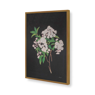 Thorndike By Deborah Revell Art Print
