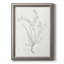 «Botanical Study in Sage VII», reproduction d'art sur toile-671232829