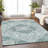 Machine Washable Indoor/Outdoor Claudian ACN1677 Teal Rug-104372754
