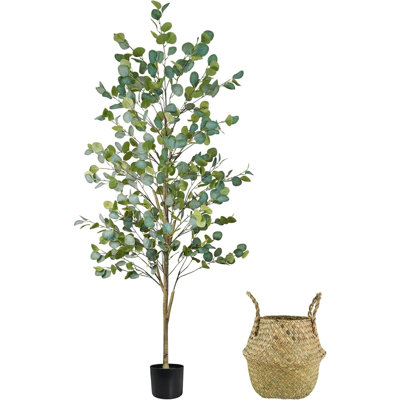 Faux Eucalyptus Tree 6FT