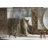 Evanoff Abstract Beige Area Rug-260486488