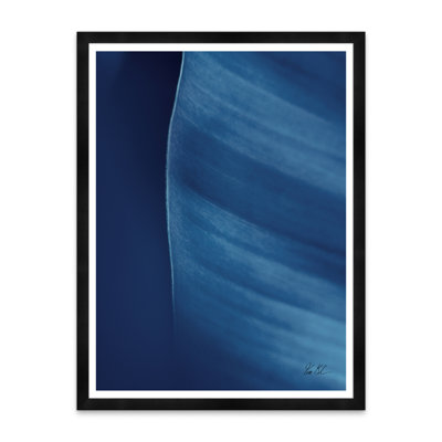 Moshi Banana Leaf In Blue by Tim Klein - Picture Frame Photograph