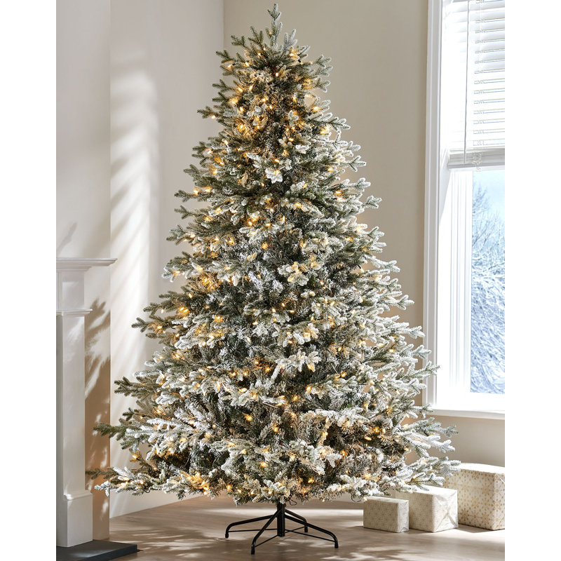 Lighted Artificial Fir Christmas Tree, 213.36cm H x 137.36cm W x 137.36cm D