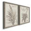 Sépia plantes exotiques III - ensemble de 2 reproductions de dessins encadrés-1000909434-1000909415