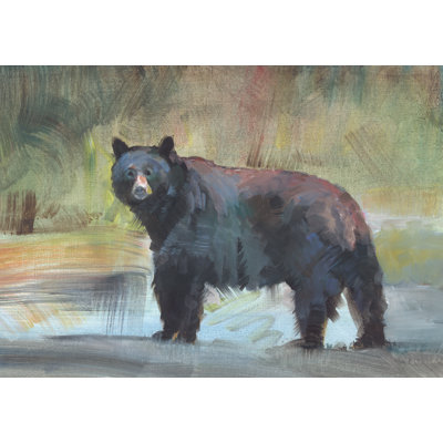 Alaska Black Bear - Wrapped Canvas Art Prints