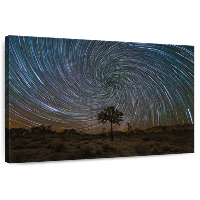 Oberle Joshua Tree Star Trail