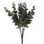 19 plantes-94734820