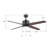 52'' Ceiling Fan with LED Lights-986963365