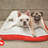 Serengeti Rectangular Pillow Dog Bed-6144211