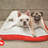 Serengeti Rectangular Pillow Dog Bed-6144212
