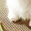 Maison de chat Fairela