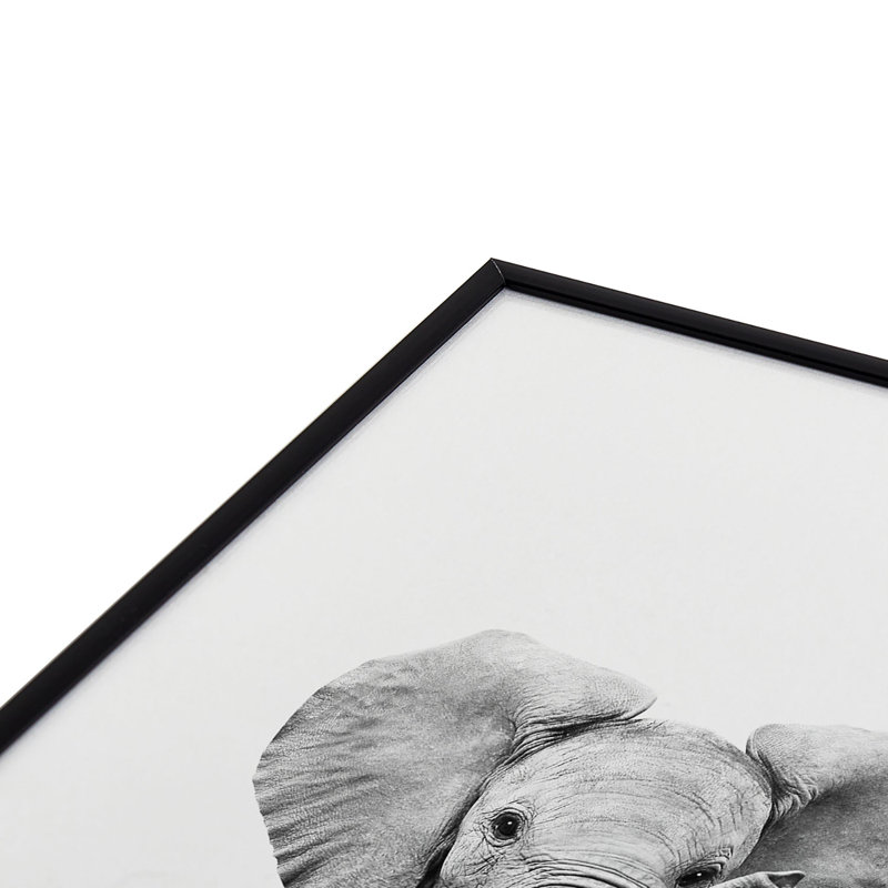 Bébé éléphant noir et blanc - photographie avec cadre photo sur verre, H 10 po x l 10 po x P 1 po, Noir