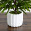 Arbre de Noël pin blanc 1,9 pi