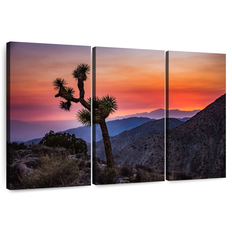 Harnek Joshua Tree Park Sunset Vista, 28" H x 45" W